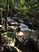 Jardim Botnico<br />Foto:  